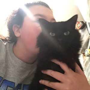 Meet your Posher, Gracie